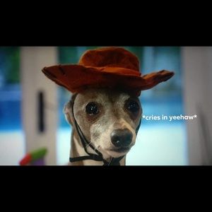 Meet your Posher, Brenna